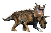 Restoration of the Late Cretaceous horned dinosaur Spiclypeus Spiclypeus NT small.jpg