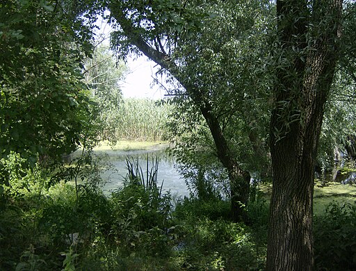 UNESCO-Biosphärenreservat Srebarna (Bulgarien)