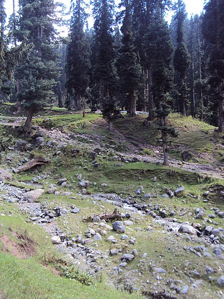 File:Srinagar - Pahalgam views 100.JPG