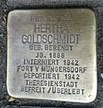 image=https://commons.wikimedia.org/wiki/File:Stolperstein_K%C3%B6ln_Theodor-Heuss-Ring_9_Hertha_Goldschmidt.jpg