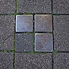 Stolpersteine für Familie Bloch