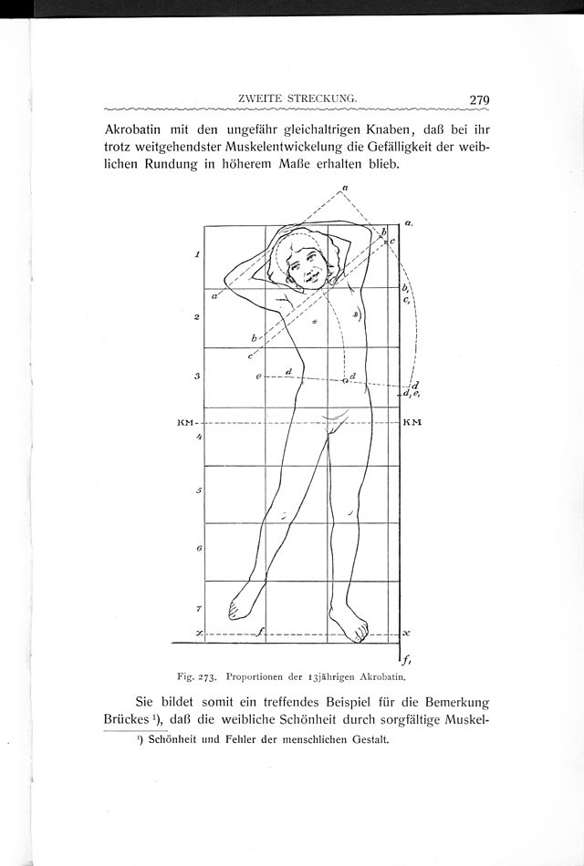 Книга die struktur des Körpers des Kindes. Книга "der Körper des Kindes und seine Pflege". Körper des Kindes перевод. Stratz. Stratz com