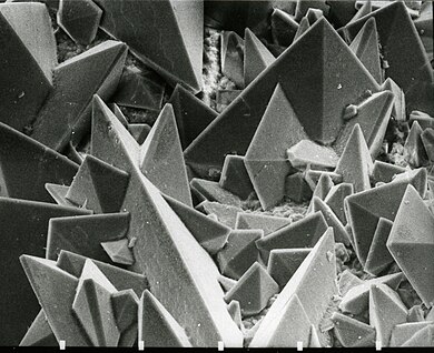 Scanning electron micrograph of the surface of a kidney stone showing tetragonal crystals of Weddellite (calcium oxalate dihydrate) emerging from the amorphous central part of the stone (the horizontal length of the picture represents 0.5 mm of the figured original) Surface of a kidney stone.jpg