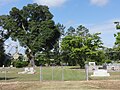 Sycamore cemetery