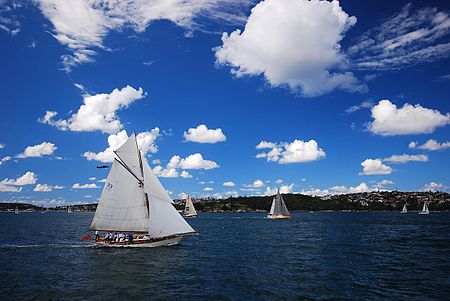 Tập_tin:Sydney_harbour_and_sailboats.jpg