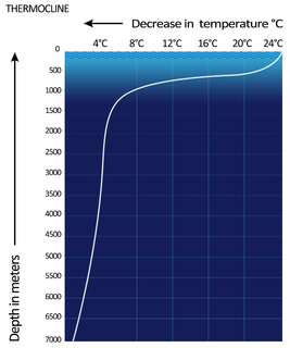 Thermocline Thermal layer in a body of water