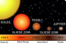 Général cinq étoiles ou quatre étoiles : quelle est la différence ? - Le  Parisien