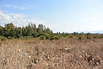 Tel Dan Panorama 3.JPG