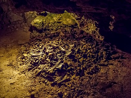 В пещере каменной нашли наперсток. Пещера Монтеспан. Пещера драхенлох в Швейцарии. Пещера драхенлох кости.