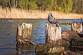 * Nomination Pilings of the old Tezikov bridge in the city of Tambov, Russia. --Alexander Novikov 12:09, 4 May 2021 (UTC) * Promotion  Support Good quality--Lmbuga 18:47, 4 May 2021 (UTC)