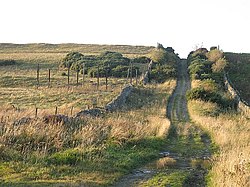 The Drove Road - geograph.org.uk - 592341.jpg