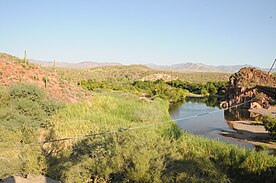 The Sheep Bridge Hot Springs is hidden in the overgrowth of reeds on the west side of the river just up stream from the bridge.