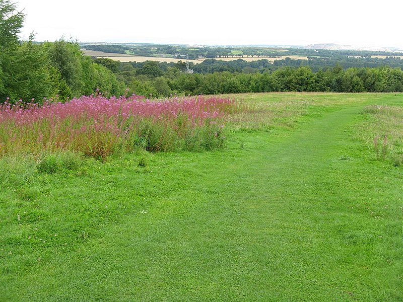 File:The valley of the Linhouse Water - geograph.org.uk - 2025929.jpg