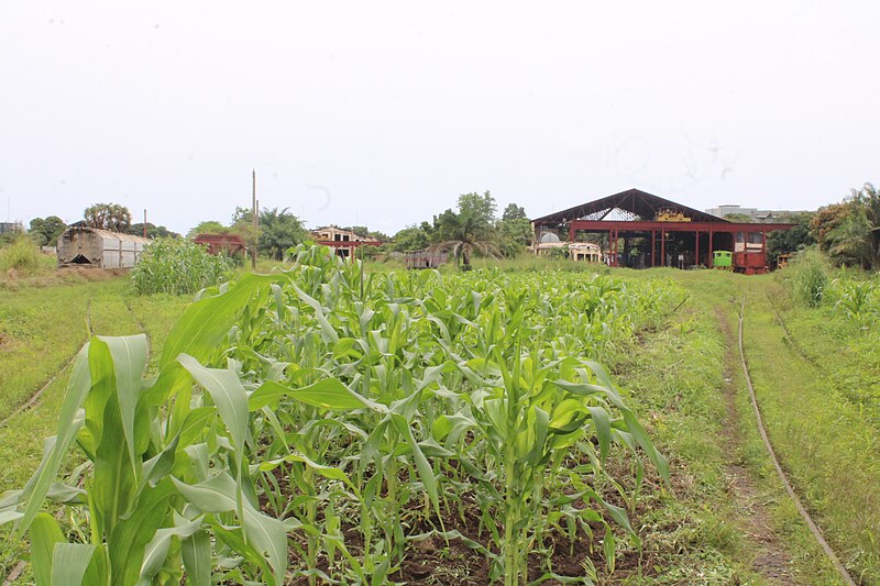 File:Togo Rail 08.jpg