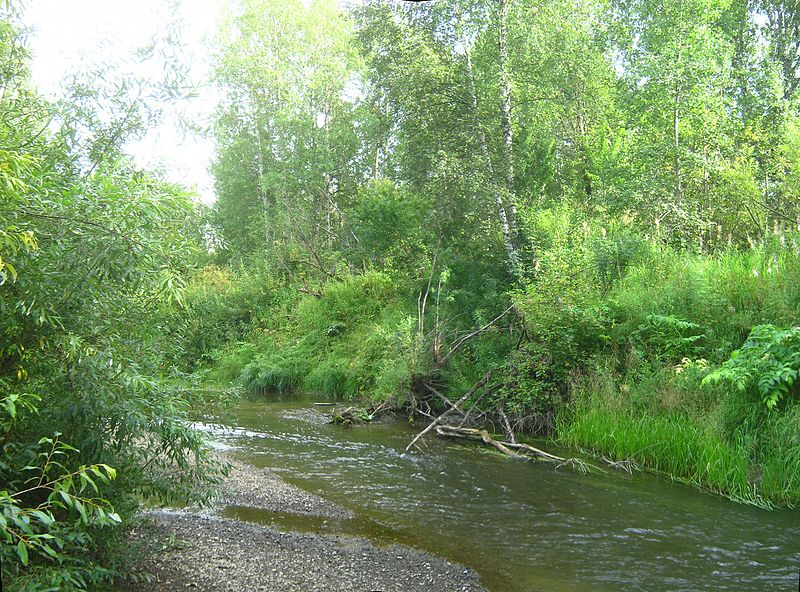 File:Tomsky District, Tomsk Oblast, Russia - panoramio (152).jpg