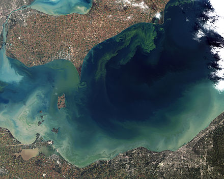Satellite image of Lake Erie during a harmful algal bloom in 2011.