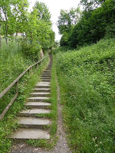 Tuebingen-2016-06-03-4.jpg