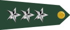 US Army O9 shoulderboard rotated.svg