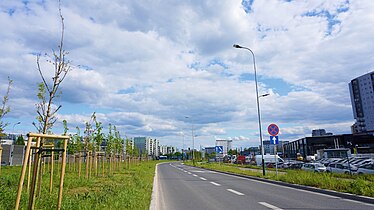 Widok na południe.