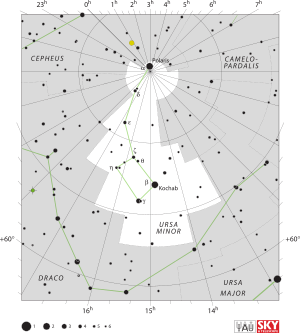 Ursa Minor IAU.svg