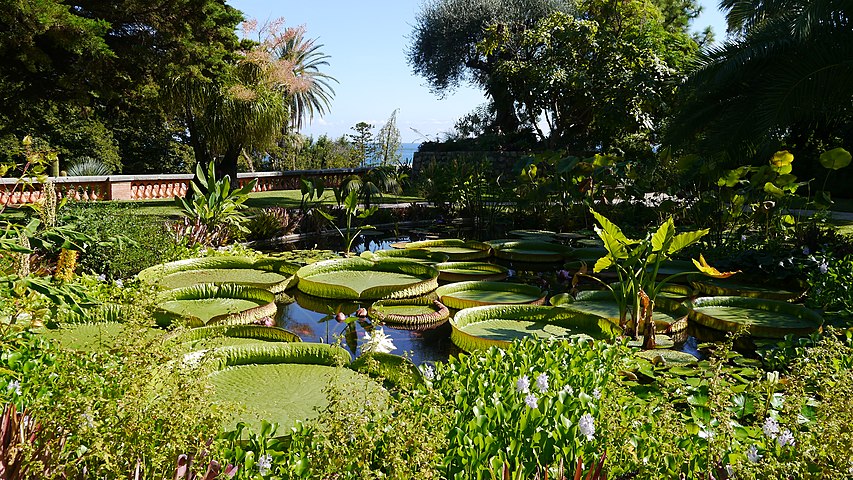 View of the Jardin botanique exotique de Menton