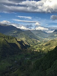 Cocora Valley