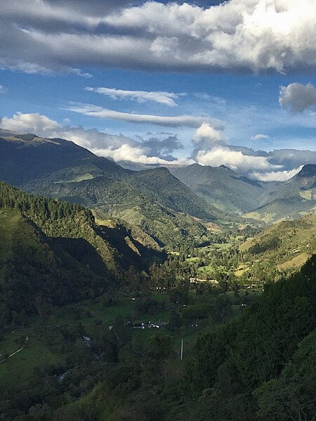 File:Valle del cocora - general view.jpg