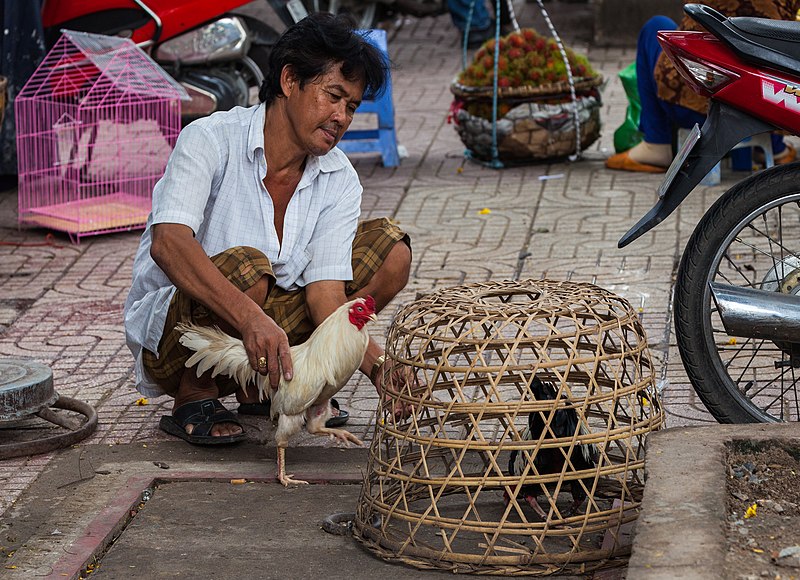File:Vendedor callejero de gallinas, Ciudad Ho Chi Minh, Vietnam, 2013-08-14, DD 01.JPG