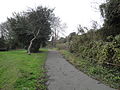 Old Shute, Ventnor, Isle of Wight, seen from the middle of the footpath, looking in the direction towards Newport Road.