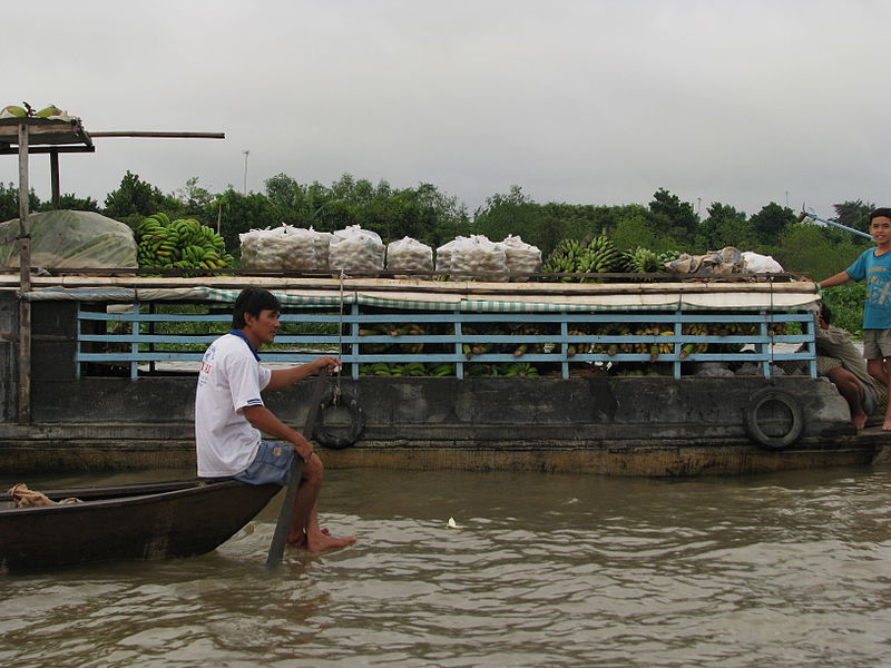 File:Vietnam 08 - 111 - Cai Be floating market (3185885502).jpg