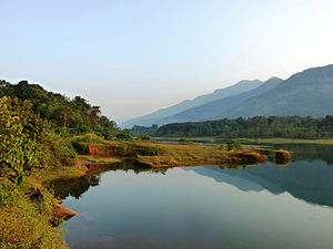 File:View of Malankara Dam reservoir from Kudayathoor