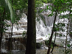 Puente Murcielagos - Palenque Arkeolojik Alanı - Chiapas - Meksika'da Ağaçların Arasındaki Şelalenin Görünümü (15057008874).jpg