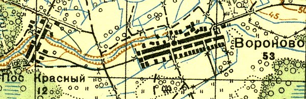 Деревня Вороново на карте 1937 года