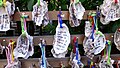 Votive oyster shells at the Inari shrine in the grounds of Hase-dera, a Jōdo-shū Buddhist temple.