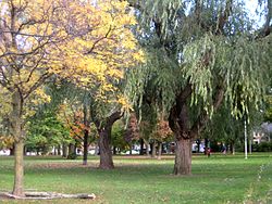 Mahalla nomi berilgan park