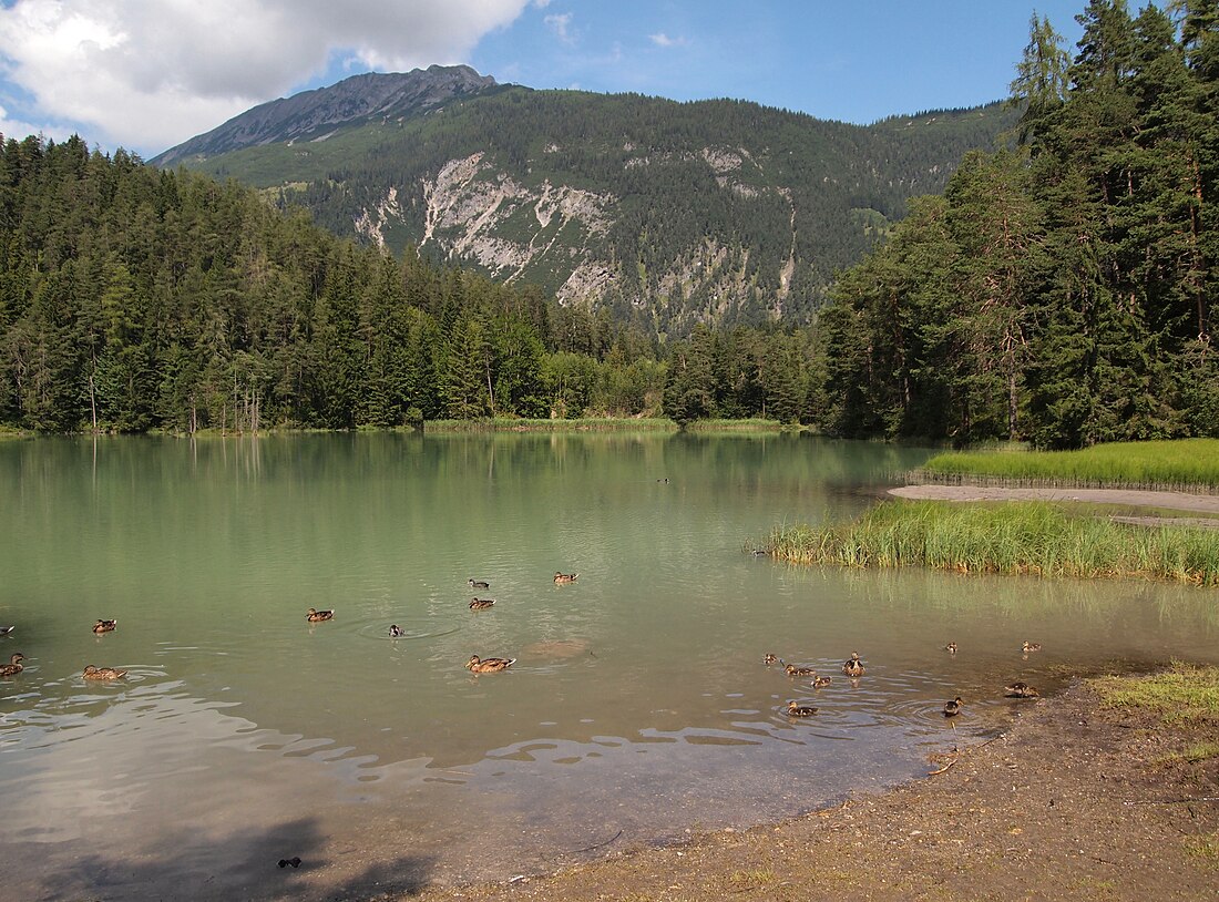 Weissensee (lanaw sa Ostriya, Tirol)