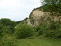 Thumbnail for Wells Chalk Pit