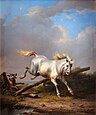 The frightened white horse (1845)