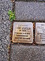 image=https://commons.wikimedia.org/wiki/File:Wilhelm_Hugo_Stolperstein_Magdeburg.jpg