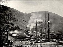 William Brownlee's sawmill at the port of Blackball on a distributary of the Pelorus River, less than 2 km from Havelock (Marlborough Museum, Marlborough Historical Society).jpg