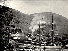 William Brownlee's sawmill at the port of Blackball on a distributary of the Pelorus River, less than 2 km from Havelock (Marlborough Museum, Marlborough Historical Society) .jpg