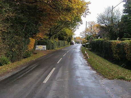 Woodlands, Hampshire