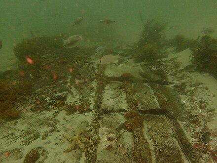 Wreckage at the P87