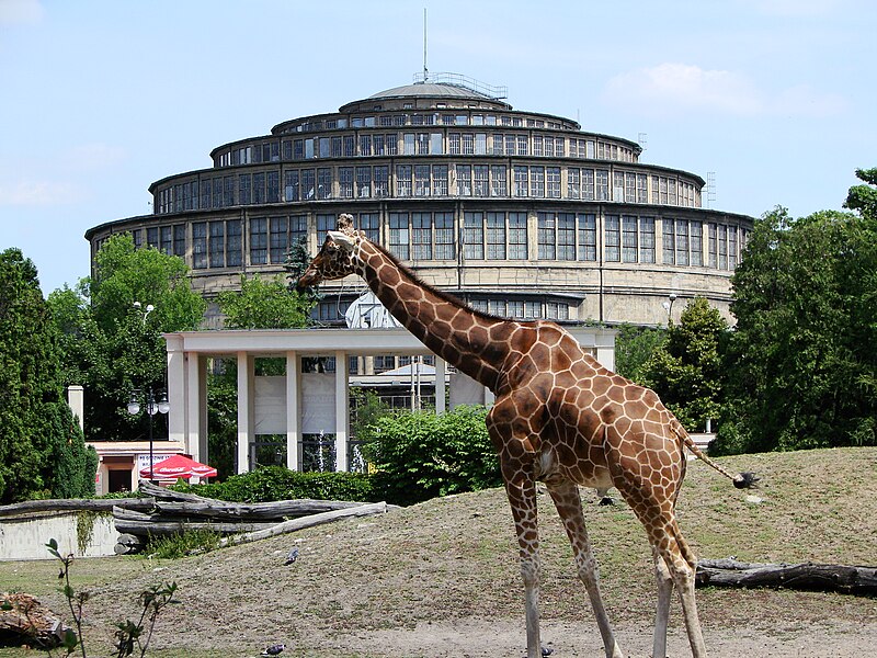 File:Wroclaw zoo and centennial Hall.JPG