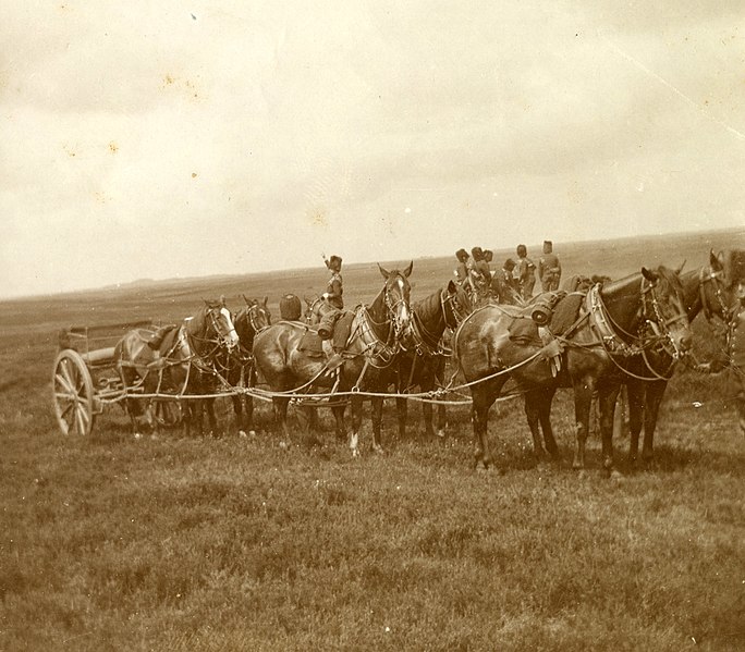 File:(NL c.1900) Exercise Horse Artillery Corps, Pict. AKL092047.jpg