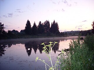 Zavyalovsky District, Udmurtia District in Udmurt Republic, Russia