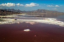 Mountain-fringed shores of Lake Urmia, West Azerbaijan, Iran. srkhy drychh rwmyh-24.jpg