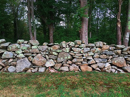 A rock wall (dry stone wall) typical of New England, abundant in Dartmouth.