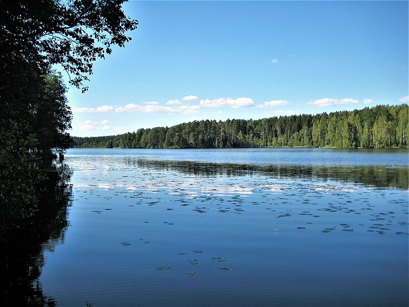 File:0277Aa. St. Petersburg. Shchuchye Lake.jpg