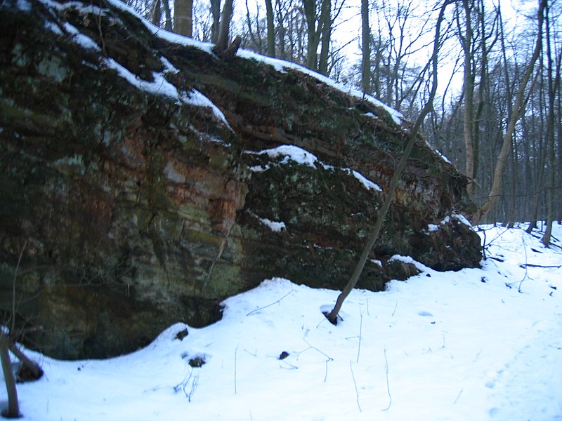 File:2010-02 Wittekindsweg Nonnenstein-Heidbrink 088.jpg